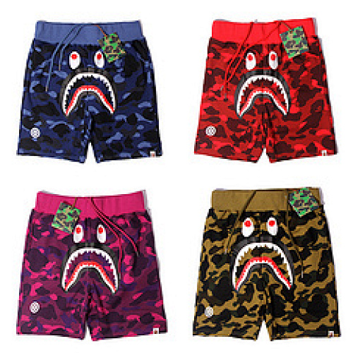 bape6102