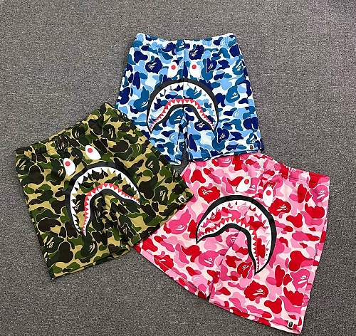 bape6104